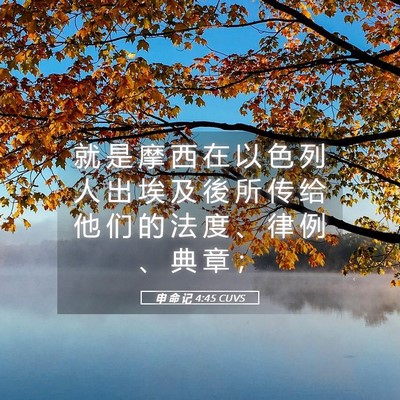 Picture 05 - 申 命 记 4:45 CUVS - 就 是 摩 西 在 以 色 列 人 出 埃 及 - Bible Verse Picture