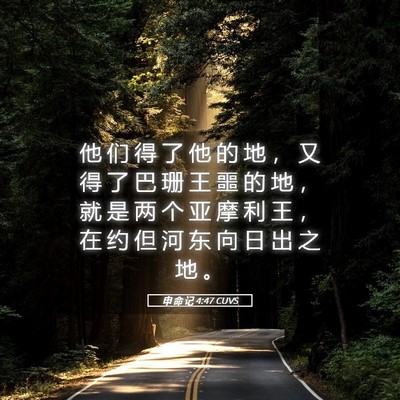 Picture 05 - 申 命 记 4:47 CUVS - 他 们 得 了 他 的 地 ， 又 得 了 巴 - Bible Verse Picture