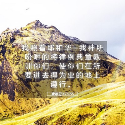 Picture 05 - 申 命 记 4:5 CUVS - 我 照 着 耶 和 华 ─ 我 神 所 吩 咐 - Bible Verse Picture