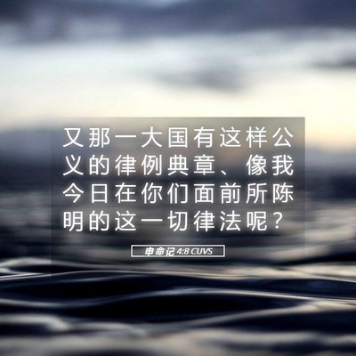 Picture 05 - 申 命 记 4:8 CUVS - 又 那 一 大 国 有 这 样 公 义 的 律 - Bible Verse Picture