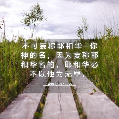 Picture 05 - 申 命 记 5:11 CUVS - 不 可 妄 称 耶 和 华 ─ 你 神 的 名 - Bible Verse Picture