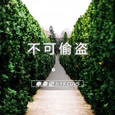 Picture 05 - 申 命 记 5:19 CUVS - 不 可 偷 盗 - Bible Verse Picture