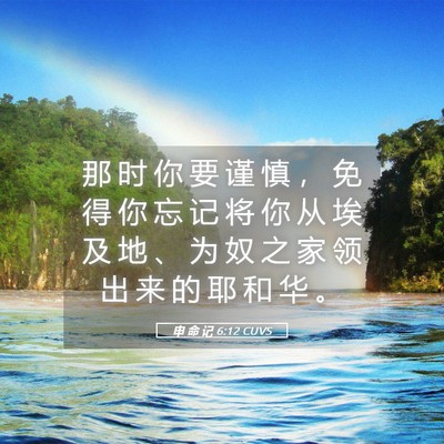Picture 05 - 申 命 记 6:12 CUVS - 那 时 你 要 谨 慎 ， 免 得 你 忘 记 - Bible Verse Picture