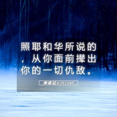 Picture 05 - 申 命 记 6:19 CUVS - 照 耶 和 华 所 说 的 ， 从 你 面 前 - Bible Verse Picture