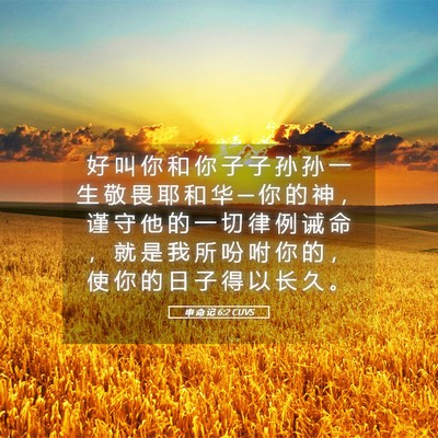 Picture 05 - 申 命 记 6:2 CUVS - 好 叫 你 和 你 子 子 孙 孙 一 生 敬 - Bible Verse Picture