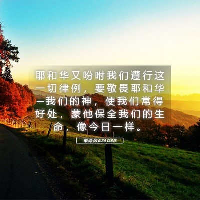 Picture 05 - 申 命 记 6:24 CUVS - 耶 和 华 又 吩 咐 我 们 遵 行 这 一 - Bible Verse Picture