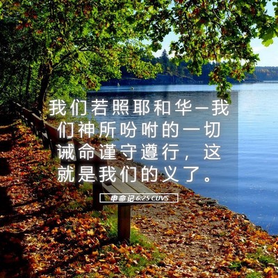 Picture 05 - 申 命 记 6:25 CUVS - 我 们 若 照 耶 和 华 ─ 我 们 神 所 - Bible Verse Picture