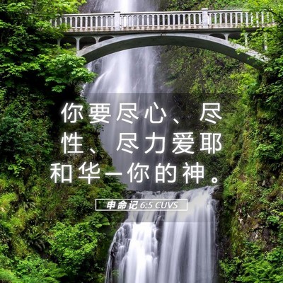 Picture 05 - 申 命 记 6:5 CUVS - 你 要 尽 心 、 尽 性 、 尽 力 爱 耶 - Bible Verse Picture
