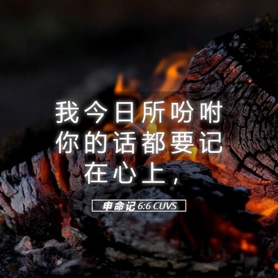 Picture 05 - 申 命 记 6:6 CUVS - 我 今 日 所 吩 咐 你 的 话 都 要 记 - Bible Verse Picture