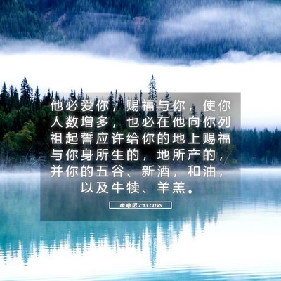 Picture 05 - 申 命 记 7:13 CUVS - 他 必 爱 你 ， 赐 福 与 你 ， 使 你 - Bible Verse Picture