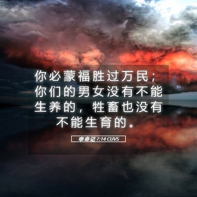 Picture 05 - 申 命 记 7:14 CUVS - 你 必 蒙 福 胜 过 万 民 ； 你 们 的 - Bible Verse Picture