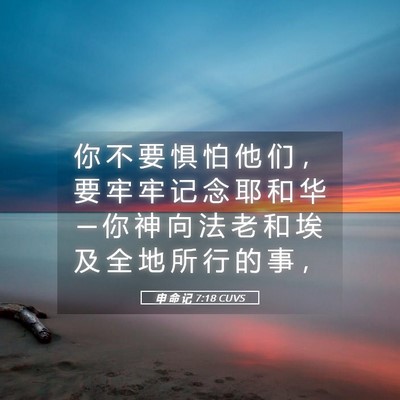 Picture 05 - 申 命 记 7:18 CUVS - 你 不 要 惧 怕 他 们 ， 要 牢 牢 记 - Bible Verse Picture