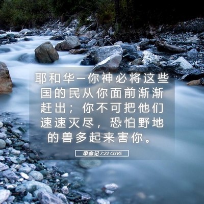 Picture 05 - 申 命 记 7:22 CUVS - 耶 和 华 ─ 你 神 必 将 这 些 国 的 - Bible Verse Picture