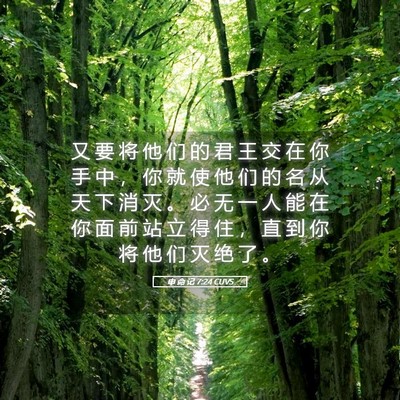 Picture 05 - 申 命 记 7:24 CUVS - 又 要 将 他 们 的 君 王 交 在 你 手 - Bible Verse Picture