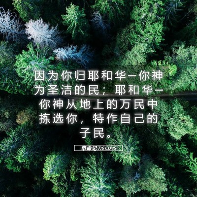 Picture 05 - 申 命 记 7:6 CUVS - 因 为 你 归 耶 和 华 ─ 你 神 为 圣 - Bible Verse Picture