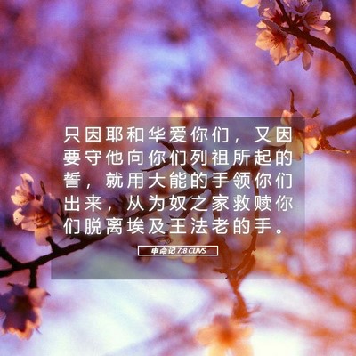 Picture 05 - 申 命 记 7:8 CUVS - 只 因 耶 和 华 爱 你 们 ， 又 因 要 - Bible Verse Picture