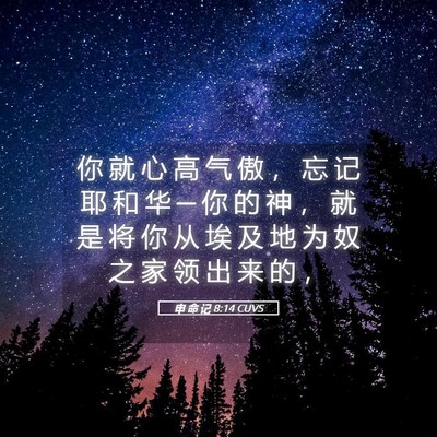 Picture 05 - 申 命 记 8:14 CUVS - 你 就 心 高 气 傲 ， 忘 记 耶 和 华 - Bible Verse Picture