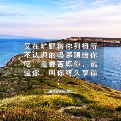 Picture 05 - 申 命 记 8:16 CUVS - 又 在 旷 野 将 你 列 祖 所 不 认 识 - Bible Verse Picture