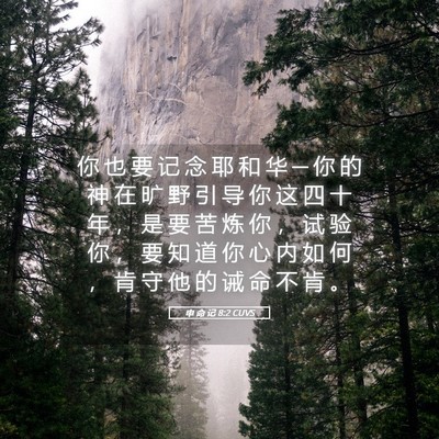 Picture 05 - 申 命 记 8:2 CUVS - 你 也 要 记 念 耶 和 华 ─ 你 的 神 - Bible Verse Picture