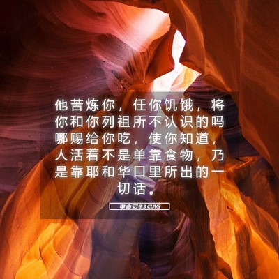 Picture 05 - 申 命 记 8:3 CUVS - 他 苦 炼 你 ， 任 你 饥 饿 ， 将 你 - Bible Verse Picture