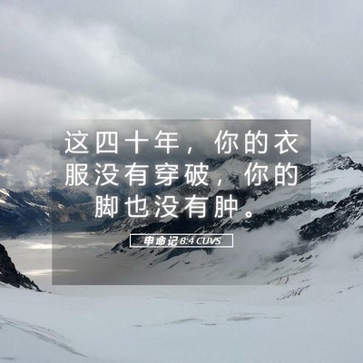 Picture 05 - 申 命 记 8:4 CUVS - 这 四 十 年 ， 你 的 衣 服 没 有 穿 - Bible Verse Picture