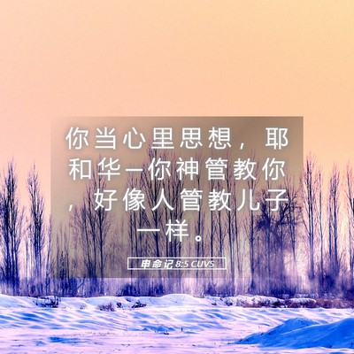 Picture 05 - 申 命 记 8:5 CUVS - 你 当 心 里 思 想 ， 耶 和 华 ─ 你 - Bible Verse Picture