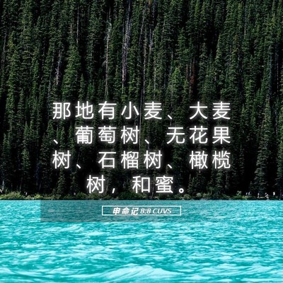 Picture 05 - 申 命 记 8:8 CUVS - 那 地 有 小 麦 、 大 麦 、 葡 萄 树 - Bible Verse Picture