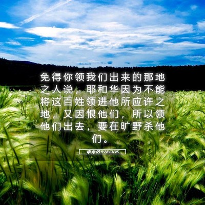 Picture 05 - 申 命 记 9:28 CUVS - 免 得 你 领 我 们 出 来 的 那 地 之 - Bible Verse Picture