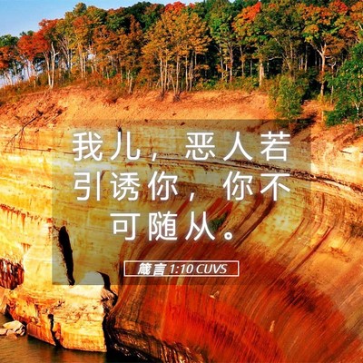 Picture 05 - 箴 言 1:10 CUVS - 我 儿 ， 恶 人 若 引 诱 你 ， 你 不 - Bible Verse Picture