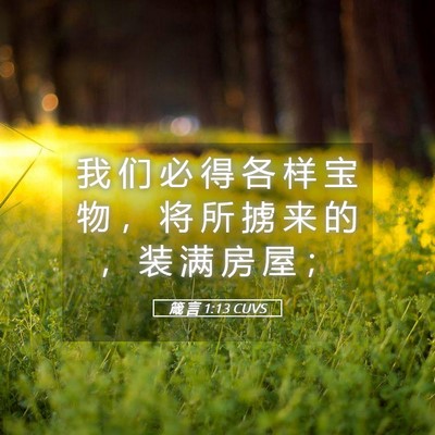 Picture 05 - 箴 言 1:13 CUVS - 我 们 必 得 各 样 宝 物 ， 将 所 掳 - Bible Verse Picture