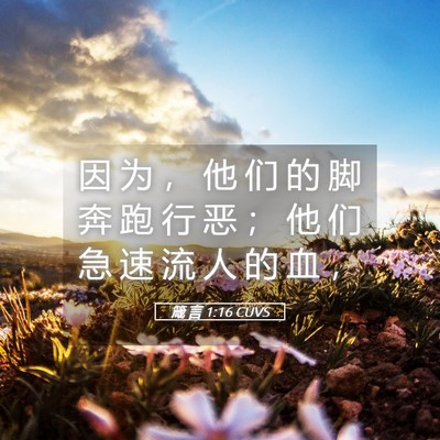 Picture 05 - 箴 言 1:16 CUVS - 因 为 ， 他 们 的 脚 奔 跑 行 恶 ； - Bible Verse Picture