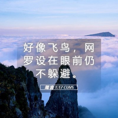 Picture 05 - 箴 言 1:17 CUVS - 好 像 飞 鸟 ， 网 罗 设 在 眼 前 仍 - Bible Verse Picture
