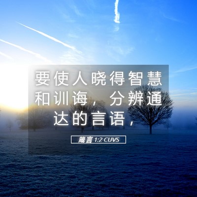 Picture 05 - 箴 言 1:2 CUVS - 要 使 人 晓 得 智 慧 和 训 诲 ， 分 - Bible Verse Picture