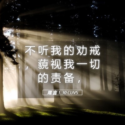 Picture 05 - 箴 言 1:30 CUVS - 不 听 我 的 劝 戒 ， 藐 视 我 一 切 - Bible Verse Picture