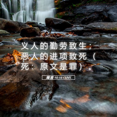 Picture 05 - 箴 言 10:16 CUVS - 义 人 的 勤 劳 致 生 ； 恶 人 的 进 - Bible Verse Picture