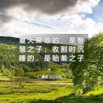Picture 05 - 箴 言 10:5 CUVS - 夏 天 聚 敛 的 ， 是 智 慧 之 子 ； - Bible Verse Picture