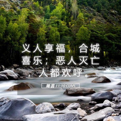 Picture 05 - 箴 言 11:10 CUVS - 义 人 享 福 ， 合 城 喜 乐 ； 恶 人 - Bible Verse Picture