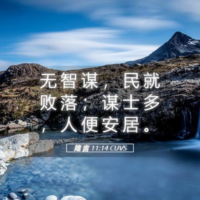 Picture 05 - 箴 言 11:14 CUVS - 无 智 谋 ， 民 就 败 落 ； 谋 士 多 - Bible Verse Picture