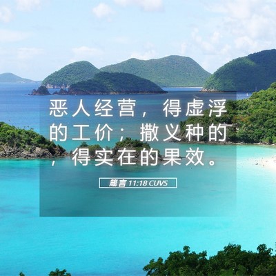 Picture 05 - 箴 言 11:18 CUVS - 恶 人 经 营 ， 得 虚 浮 的 工 价 ； - Bible Verse Picture