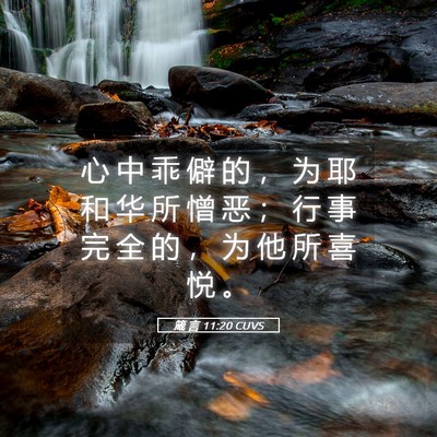 Picture 05 - 箴 言 11:20 CUVS - 心 中 乖 僻 的 ， 为 耶 和 华 所 憎 - Bible Verse Picture