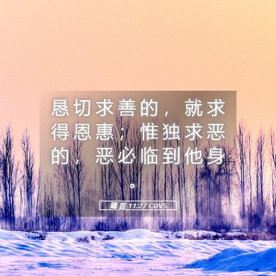 Picture 05 - 箴 言 11:27 CUVS - 恳 切 求 善 的 ， 就 求 得 恩 惠 ； - Bible Verse Picture