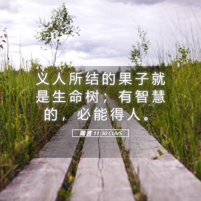 Picture 05 - 箴 言 11:30 CUVS - 义 人 所 结 的 果 子 就 是 生 命 树 - Bible Verse Picture