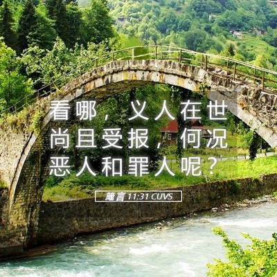 Picture 05 - 箴 言 11:31 CUVS - 看 哪 ， 义 人 在 世 尚 且 受 报 ， - Bible Verse Picture