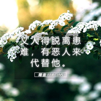 Picture 05 - 箴 言 11:8 CUVS - 义 人 得 脱 离 患 难 ， 有 恶 人 来 - Bible Verse Picture
