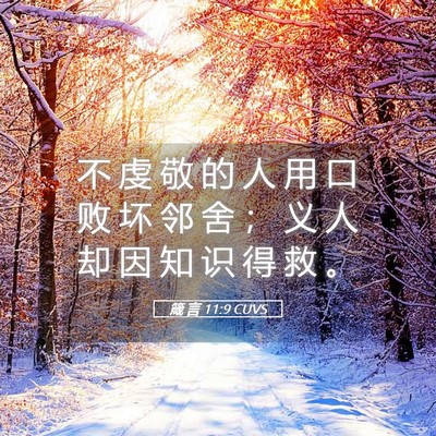 Picture 05 - 箴 言 11:9 CUVS - 不 虔 敬 的 人 用 口 败 坏 邻 舍 ； - Bible Verse Picture