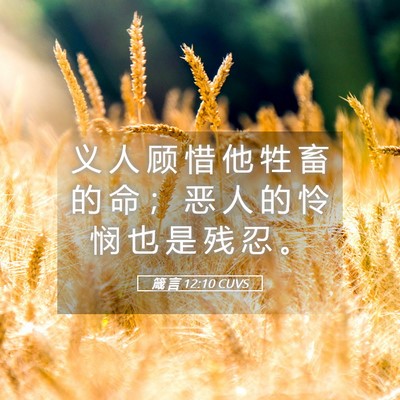 Picture 05 - 箴 言 12:10 CUVS - 义 人 顾 惜 他 牲 畜 的 命 ； 恶 人 - Bible Verse Picture