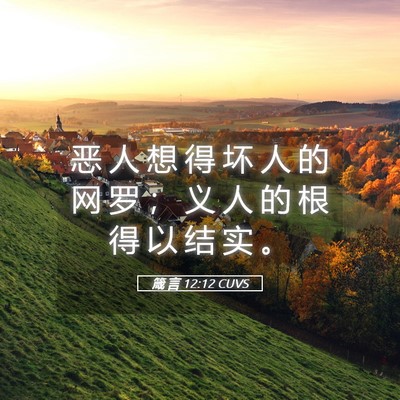 Picture 05 - 箴 言 12:12 CUVS - 恶 人 想 得 坏 人 的 网 罗 ； 义 人 - Bible Verse Picture