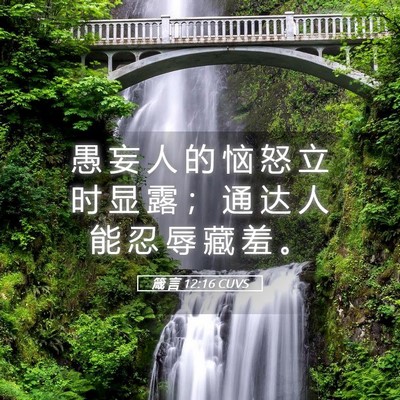 Picture 05 - 箴 言 12:16 CUVS - 愚 妄 人 的 恼 怒 立 时 显 露 ； 通 - Bible Verse Picture