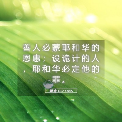 Picture 05 - 箴 言 12:2 CUVS - 善 人 必 蒙 耶 和 华 的 恩 惠 ； 设 - Bible Verse Picture