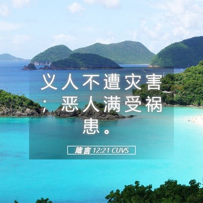Picture 05 - 箴 言 12:21 CUVS - 义 人 不 遭 灾 害 ； 恶 人 满 受 祸 - Bible Verse Picture
